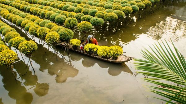 Mekong Delta Journey