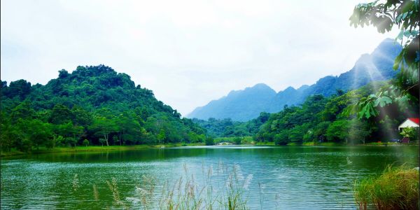 Cuc Phuong National Park & Ninh Binh