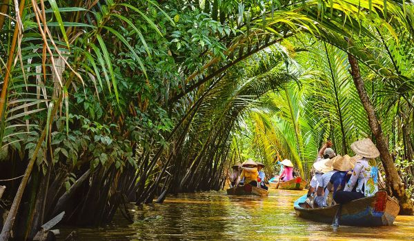 Coconut Homeland in Mekong Delta